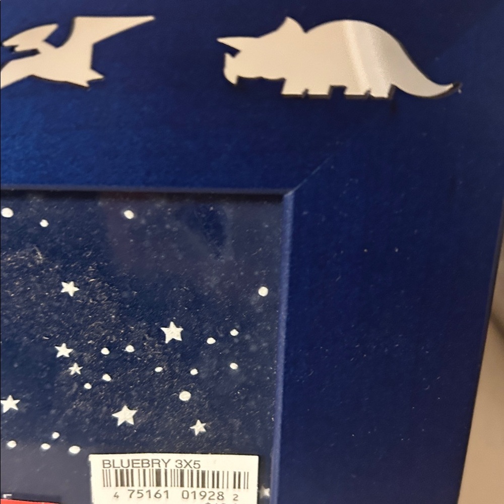 Dinosaur Frame - Picture 3 of 5